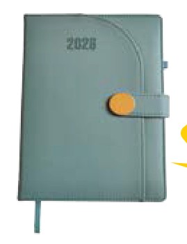 Zaine Diary with Closure (Brown, Regular 6" x 8.5")