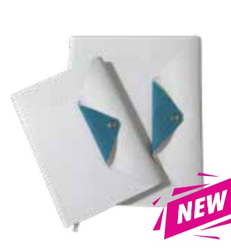 41-2 Diary (White/Teal, Regular 6" x 8.5")