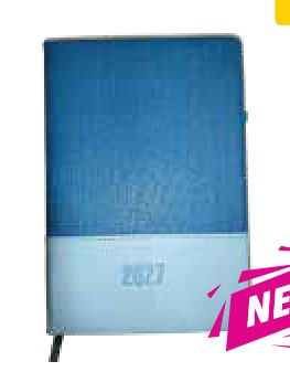 [D27-21] #4 Diary