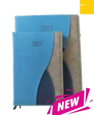 #7 Diary